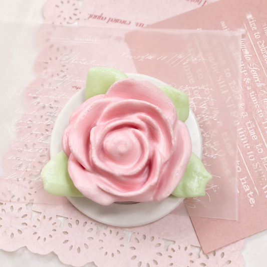 Carry A Little Bloom —— MagSafe Phone Grip